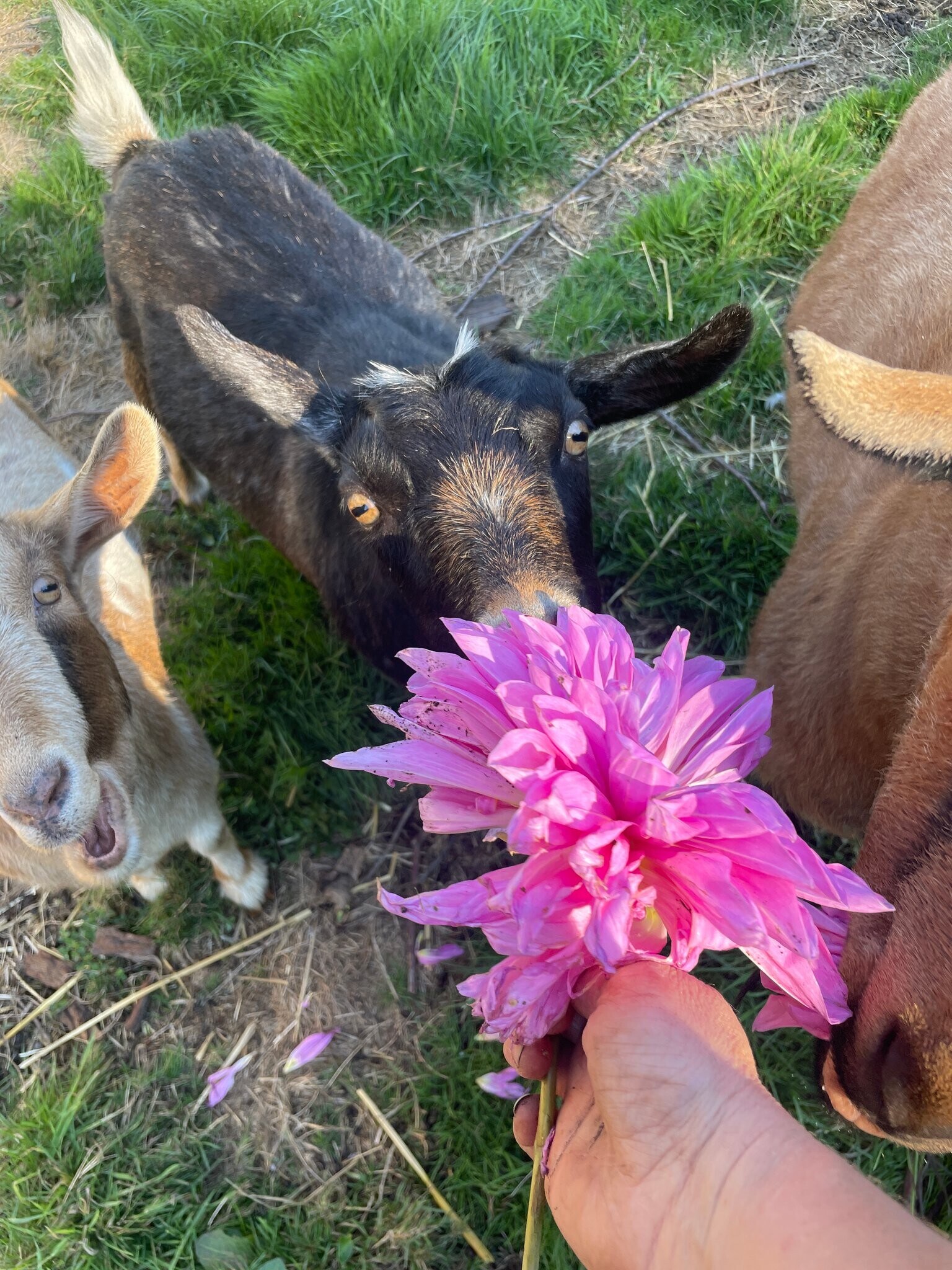Building Photo - 9600 116th St NE