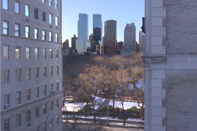 Park views from all "A" line apts. - 3 E 63rd St