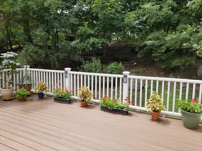 Back porch area - 19 Oxford Rd