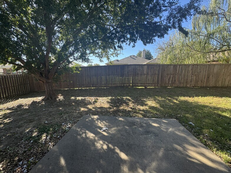 Backyard - 1413 Eufemia Dr