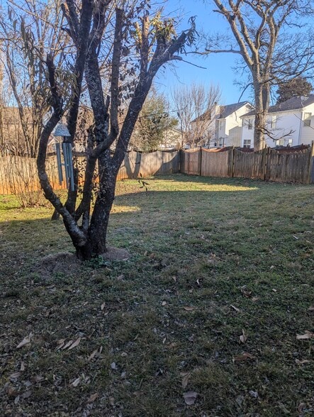 Backyard - 2480 Oak Hill Dr