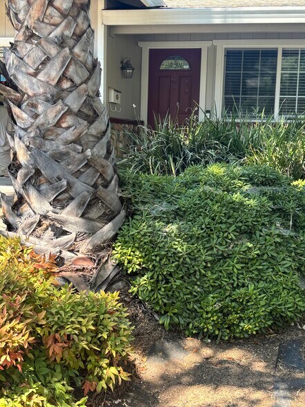 Building Photo - 6113 Oakgreen Cir