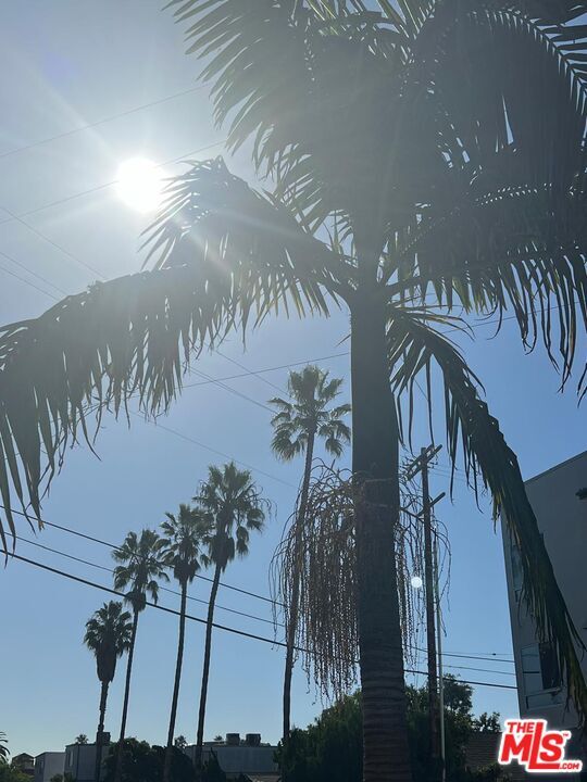 Building Photo - 338 Rennie Ave