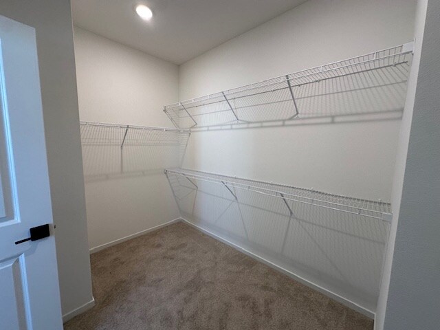 Building Photo - 4151 S Cleome Paseo