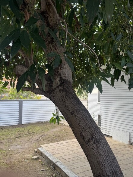 Building Photo - 1617 Barry Ave