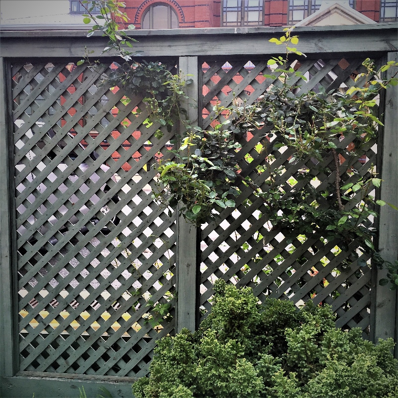 Building Photo - 124 W Main St