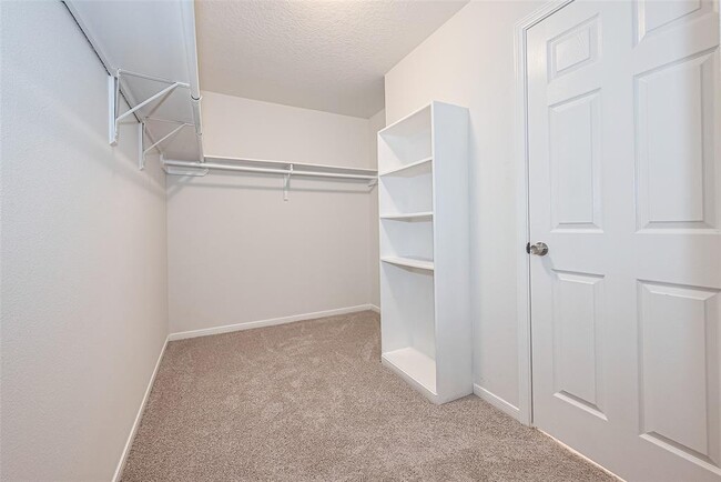 Building Photo - 4910 Wilderness Glen Ct