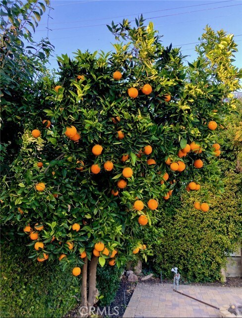 Building Photo - 13139 Valleyheart Dr