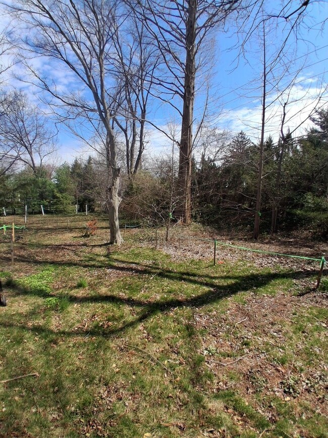 Building Photo - Quiet Responsible Household second floor bedroom for rent