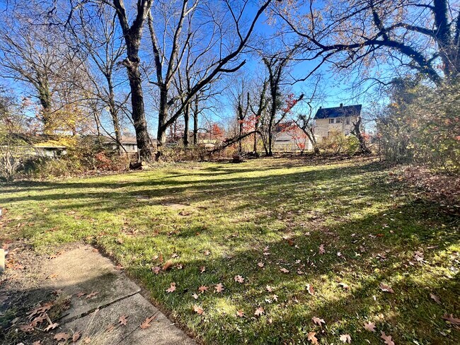 back yard - 1673 Bancroft Ave