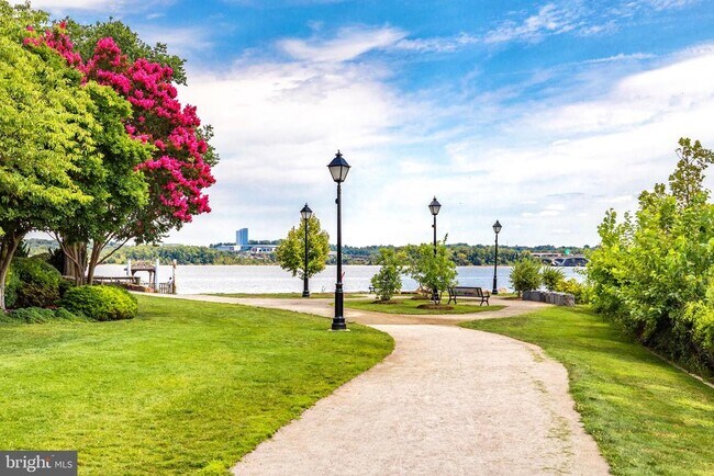 Building Photo - 203 Montgomery St