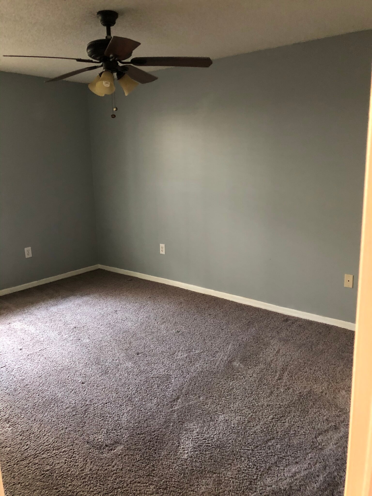 Building Photo - 1000 W Horatio St