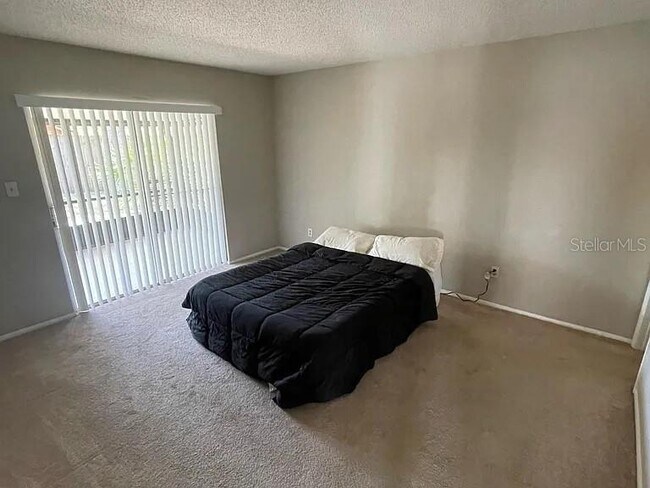 Building Photo - 1311 Alfonzo Cir