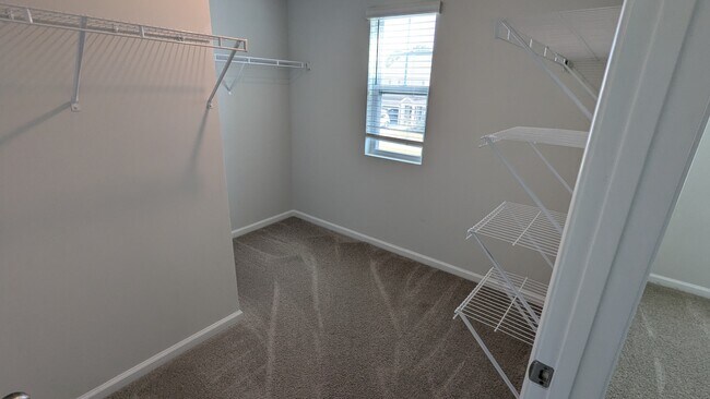 Building Photo - 427 Coconut Dr