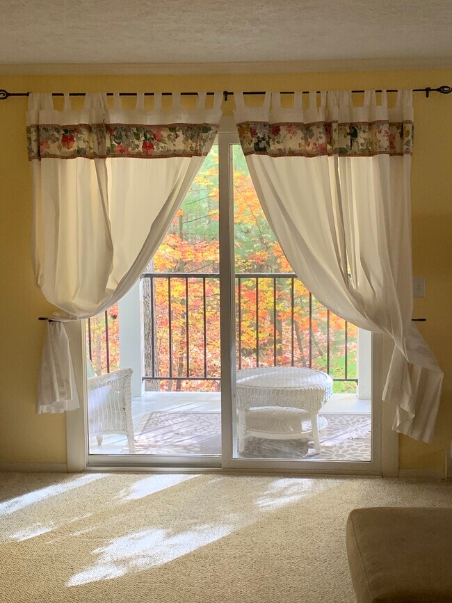 balcony - 4244 Mitchell Creek Dr