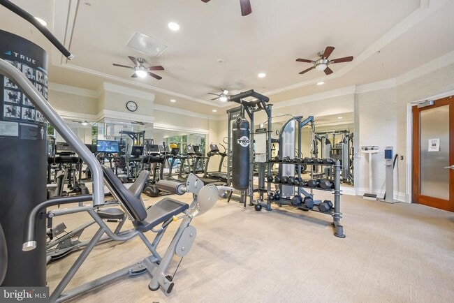 Building Photo - 8220 Crestwood Heights Dr