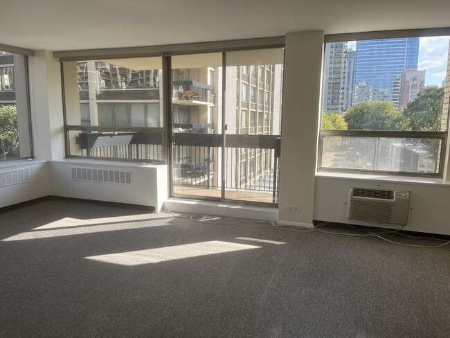 Building Photo - 1360 N Sandburg Terrace