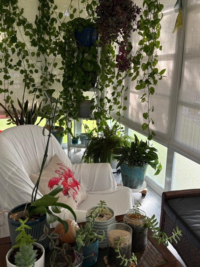 Building Photo - 58 Woodland Dr