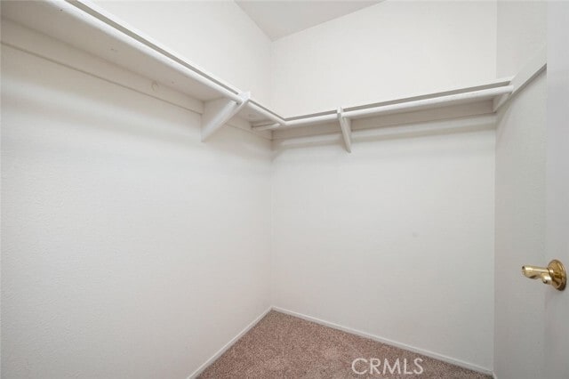 Building Photo - 10648 Porto Ct