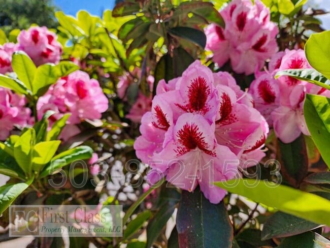 Building Photo - 1402 NE 186th Ave