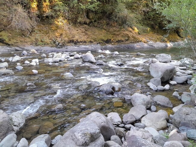 Building Photo - 1/2 off 1st Month's Rent ! Country Setting Single Wide Manufactured Home Silverbrook RV Park