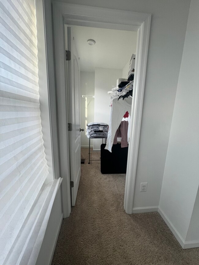 Building Photo - 230 Newbury St