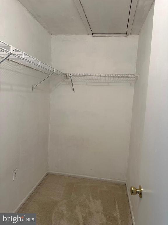 Building Photo - 1376 Sweetbell Ct