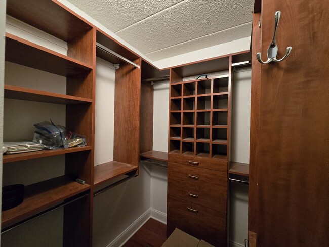 Master Bedroom Walk-in Closet - 3423-407 S Cottage Grove Ave