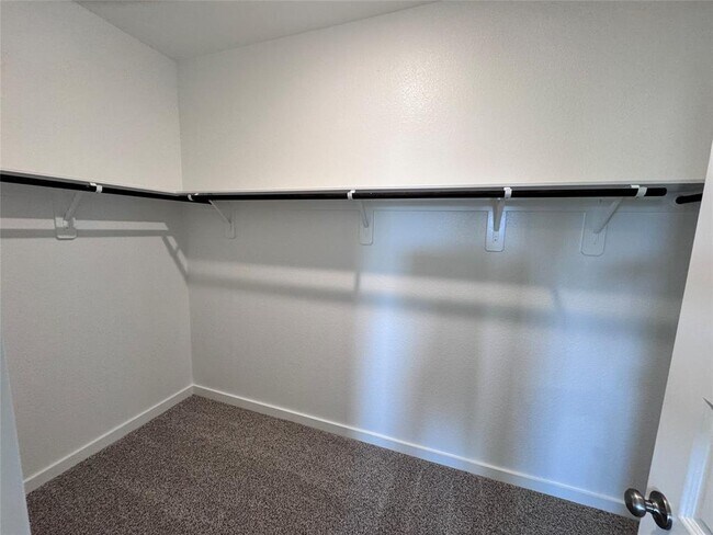 Building Photo - 6254 Brazos Trl Dr