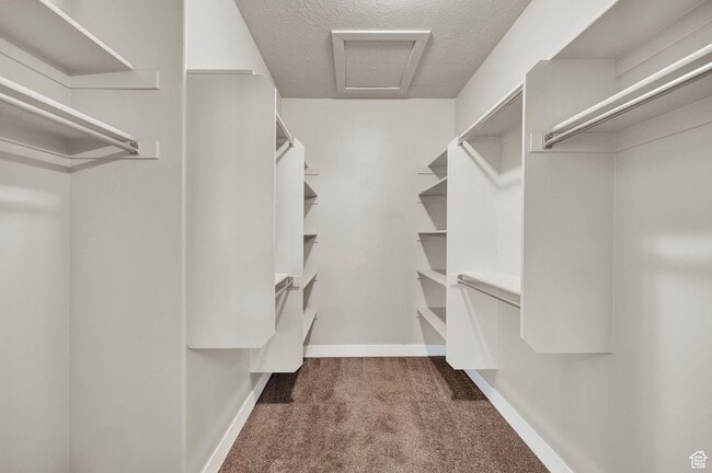 Building Photo - 1712 Naxos Ln