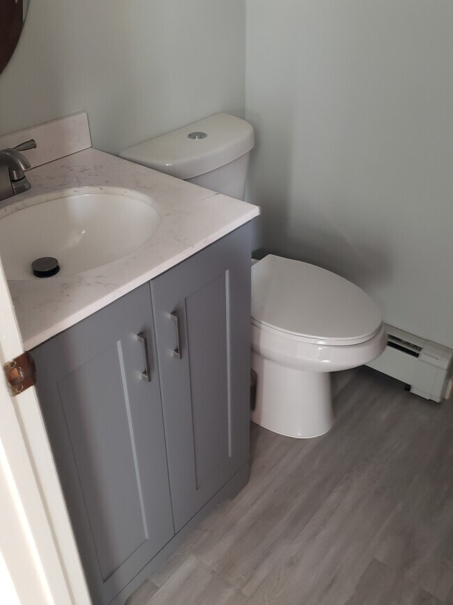 Downstairs bath - 222 Blake Rd