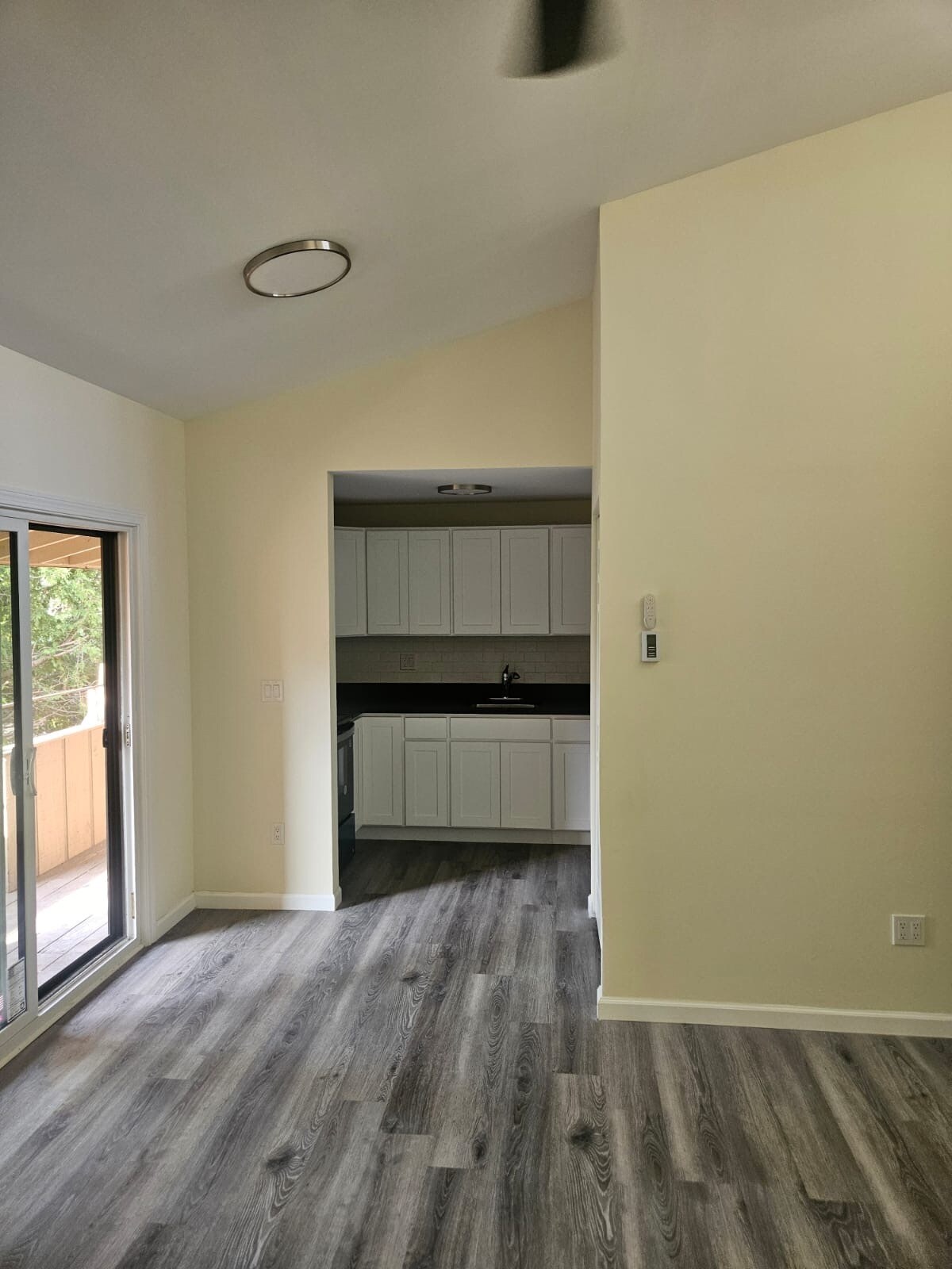 Kitchen and dining - 125 Burgundy Hill Ln