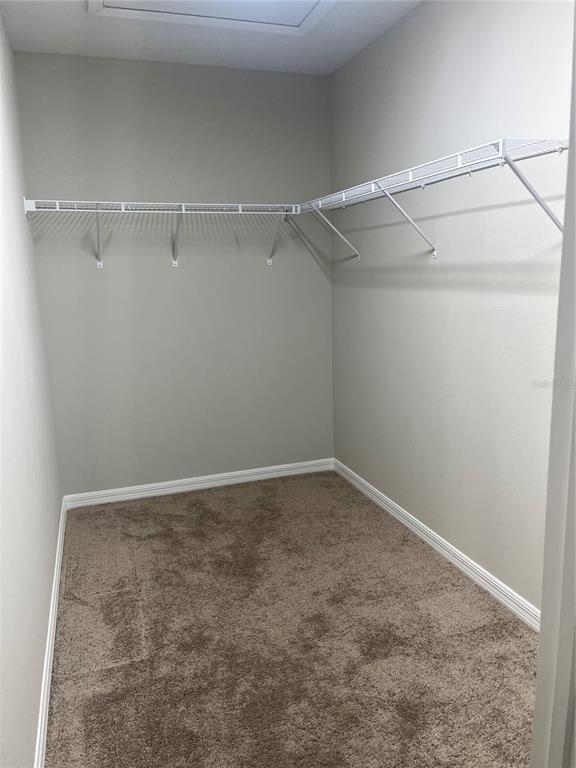 Building Photo - 34209 Scarlet Sage Ct