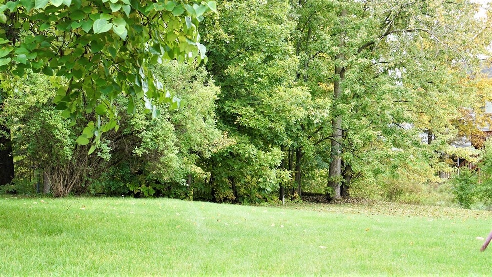 Wooded backyard - 3843 West De Blaay Ct SE