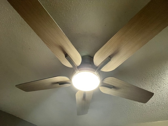 Building Photo - 3879 Polk St NE