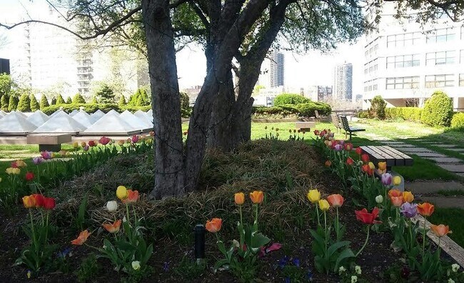 Building Photo - 7000 BLVD E