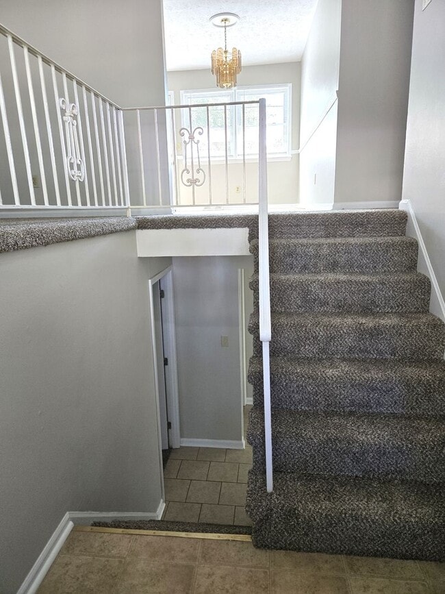 Building Photo - Spacious Split Level In Gainesway   251113