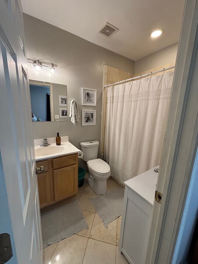 Ensuite bath for primary bedroom - 1241 N Maplewood Ave