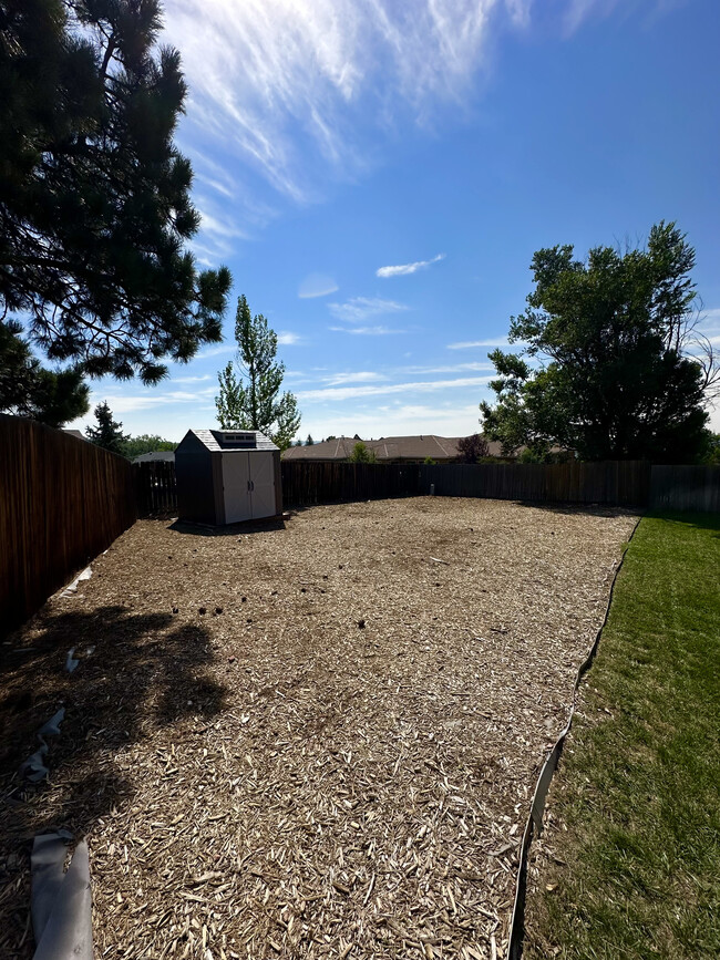 Backyard - 5507 Fiesta Ln