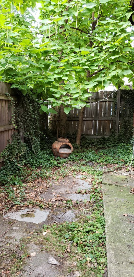 Building Photo - 333 Meigs St