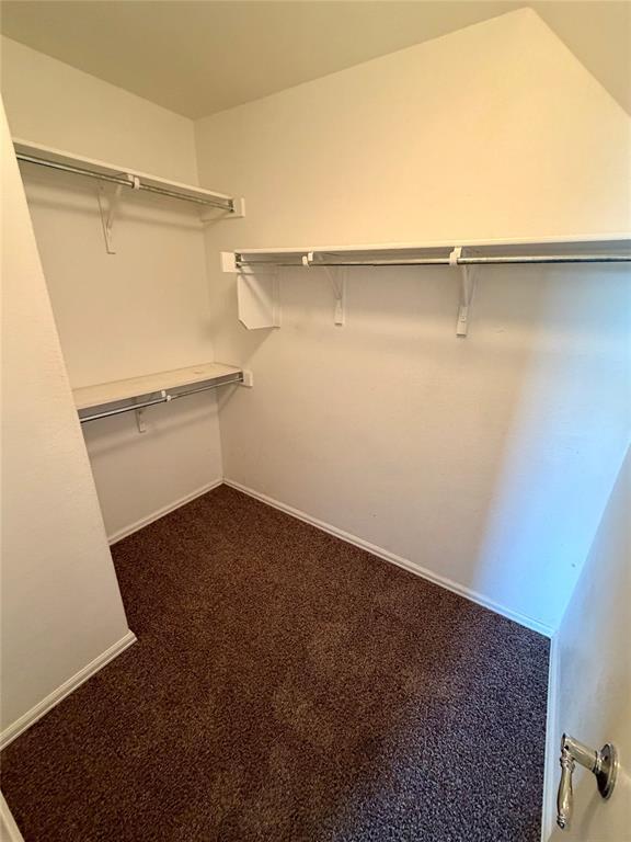 Building Photo - 500 Kingfisher Ln