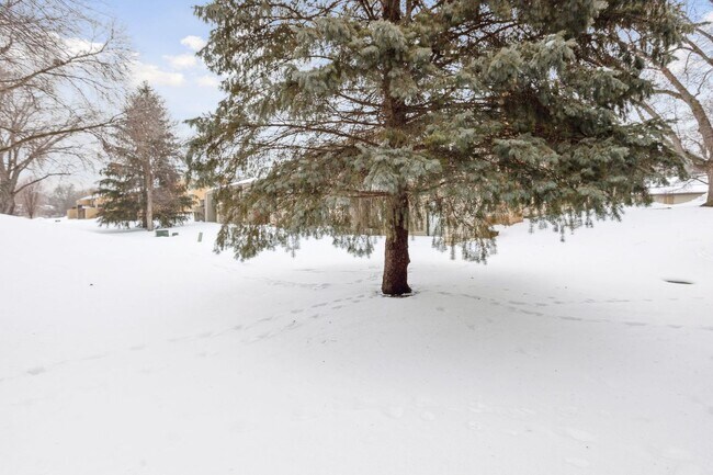 Building Photo - Lovely 4BR 2BA Townhome in Coon Rapids