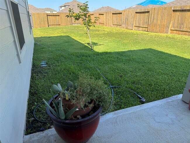 Building Photo - 22826 Panaro River Dr