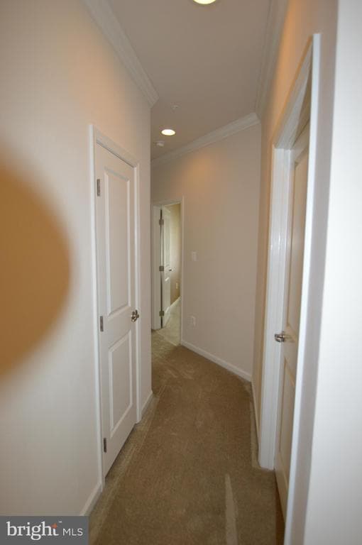 Building Photo - 202 Mill Pond Rd