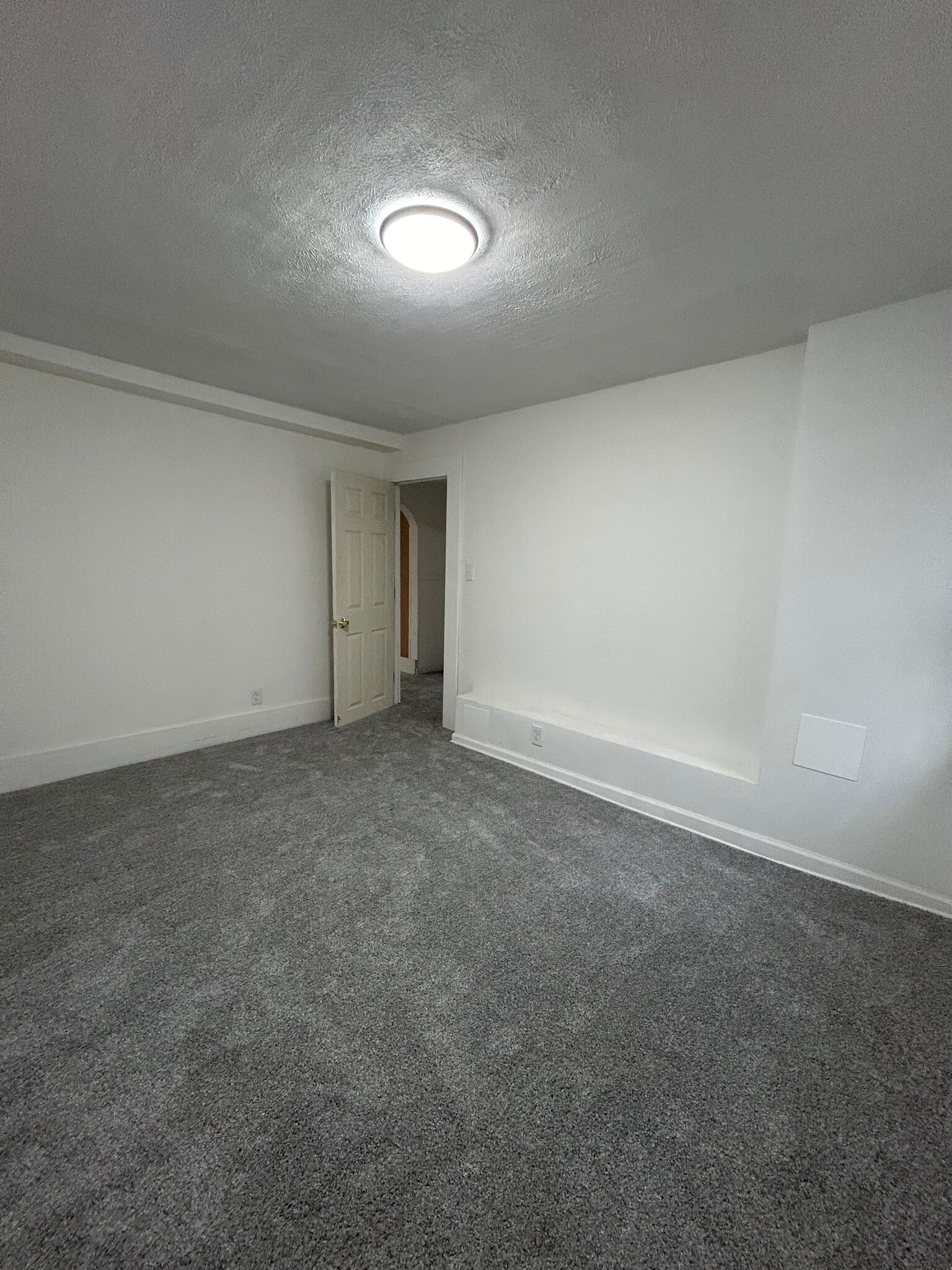 Building Photo - 1341 Sassafrass St