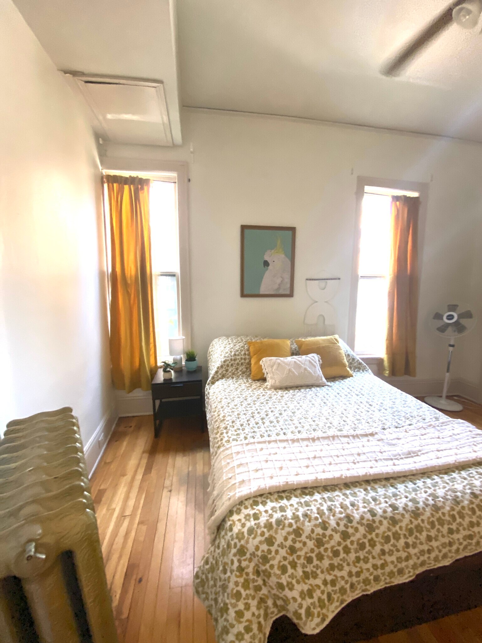 Building Photo - 2419 1st Ave S