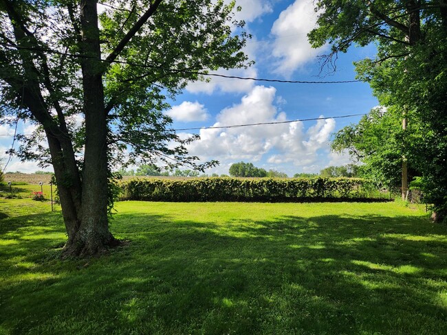 Building Photo - Very nice 2BR home with parking off street near major employers!