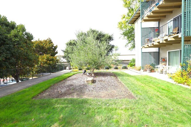 Building Photo - Gorgeous 1 bedroom/1 bath Condo in San Mat...