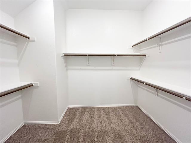 Building Photo - 1728 Storey Ln