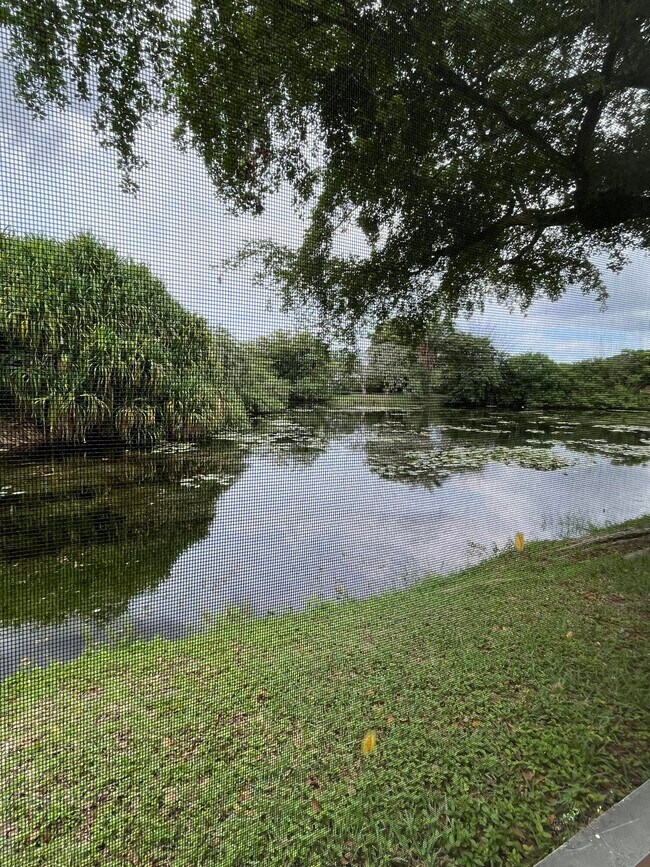 Building Photo - 4305 Coral Springs Dr